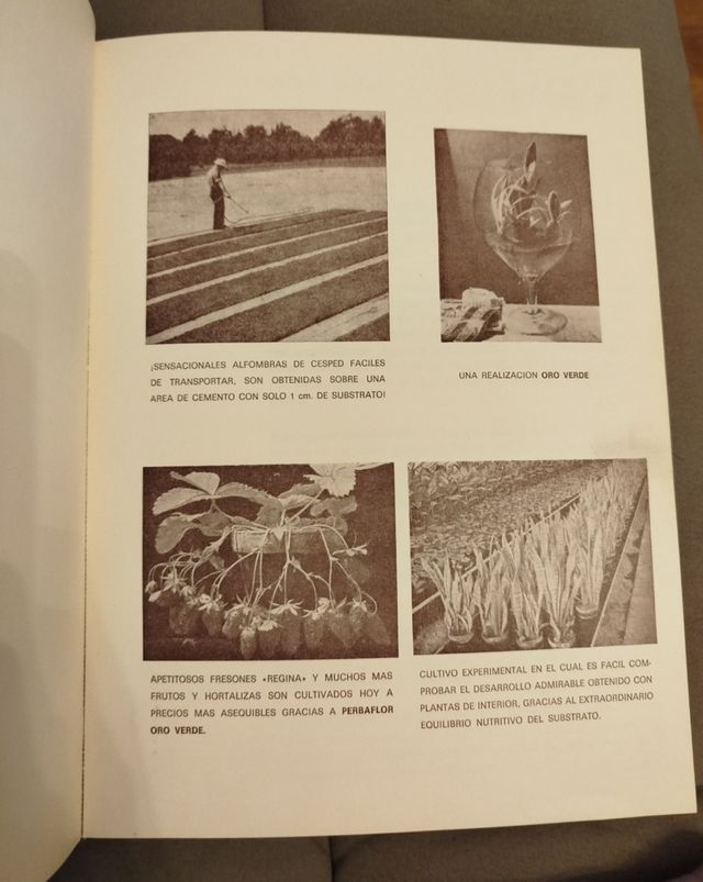 Libro "Oro Verde". Año 1972