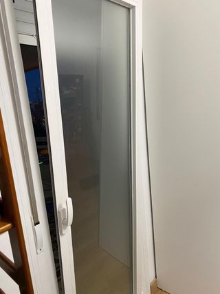 Puerta metálica con doble cristal