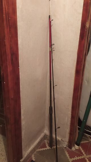 cañas de pescar