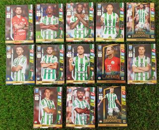 LOTE DE 13 CROMOS FIFA ADRENALYN XL 365 2025