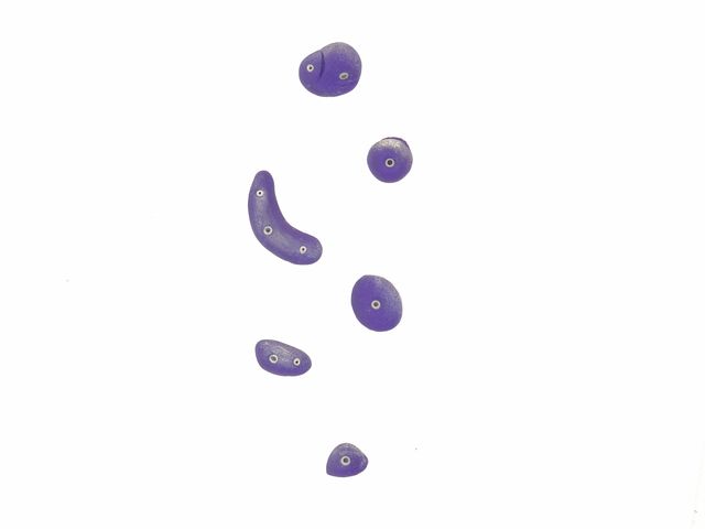 Imanes de rocódromo (incluye 6 presas)