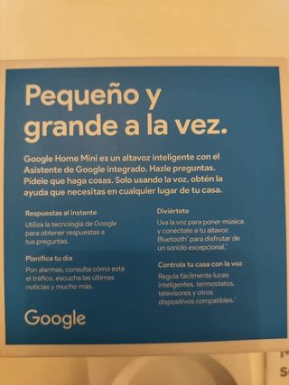 Google home mini