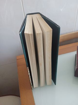 La reina descalza (Novela histórica) (Spanish Edition)