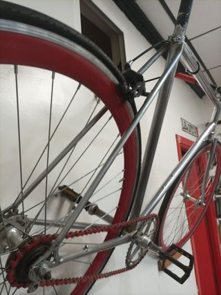 Bicicleta XL fixie

