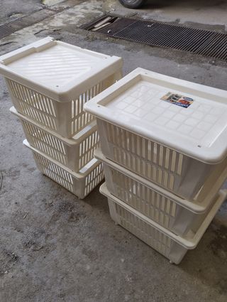 6 ceste a bocca di lupo in PVC