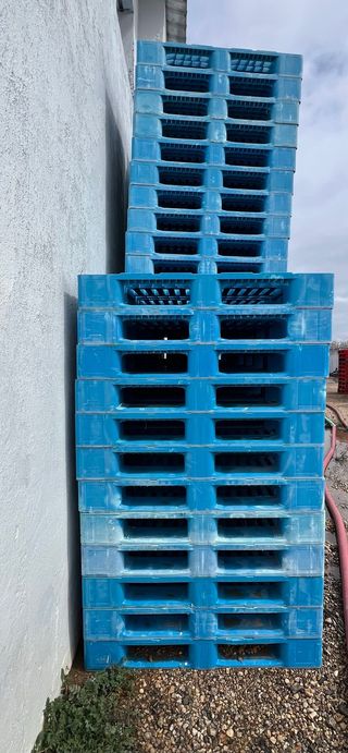 Palets Plastico