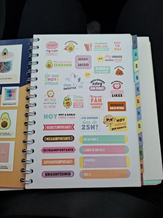 PEGATINAS MR WONDERFUL