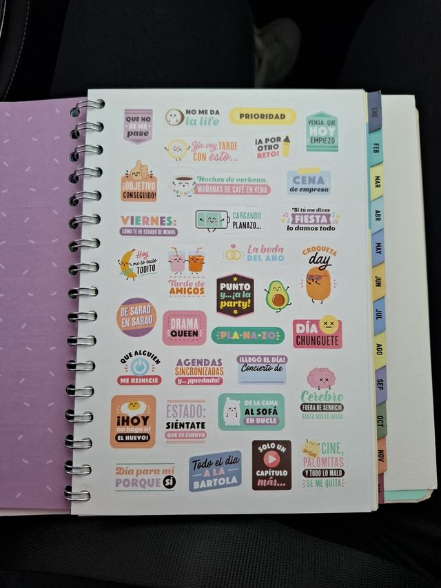 PEGATINAS MR WONDERFUL