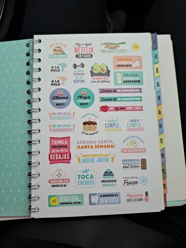 PEGATINAS MR WONDERFUL