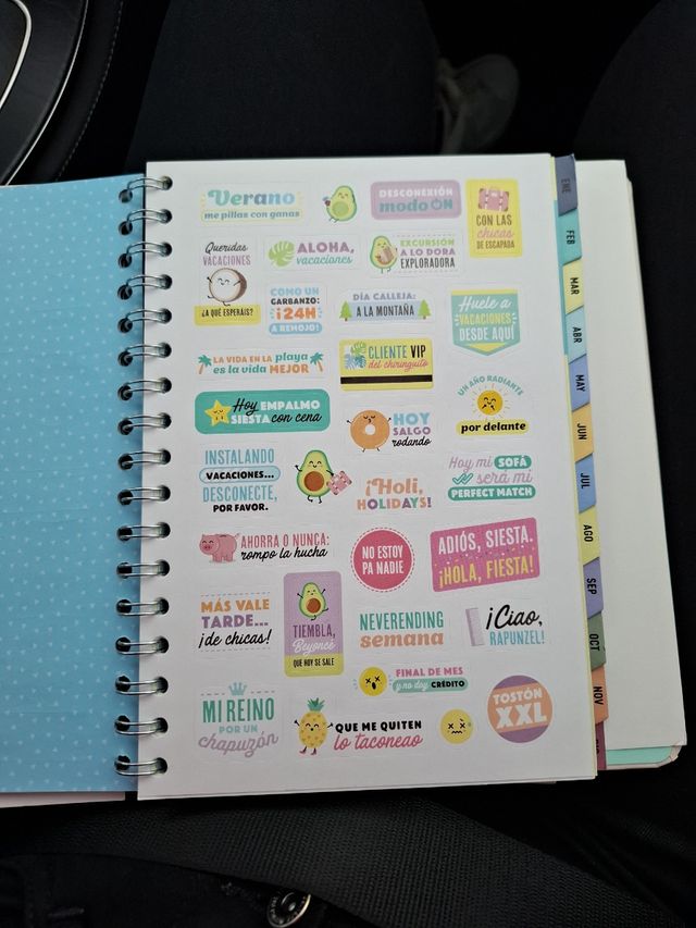 PEGATINAS MR WONDERFUL