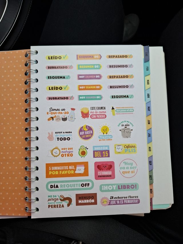 PEGATINAS MR WONDERFUL