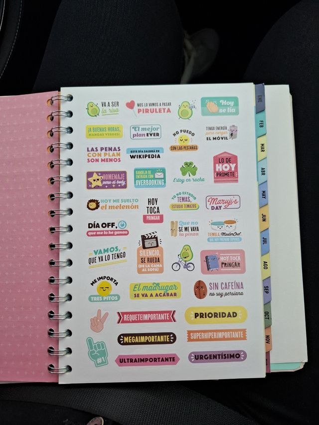 PEGATINAS MR WONDERFUL