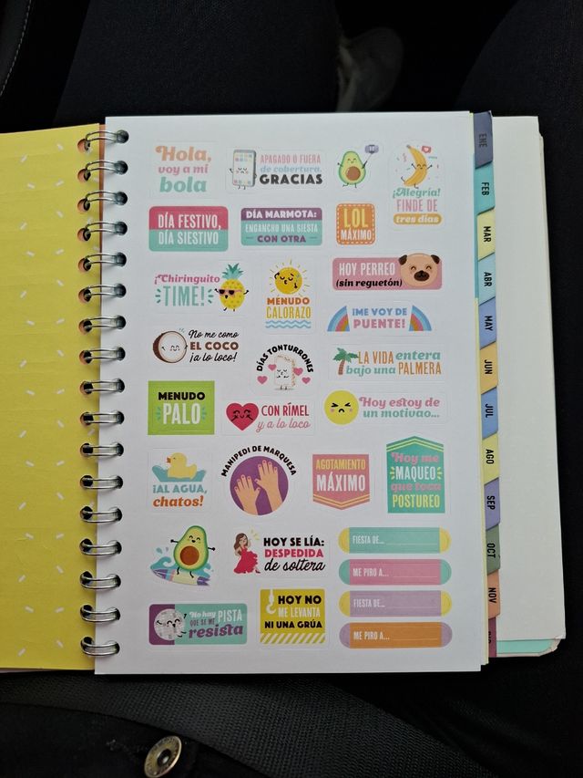 PEGATINAS MR WONDERFUL