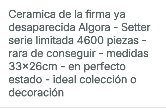 Perro Setter, Algora