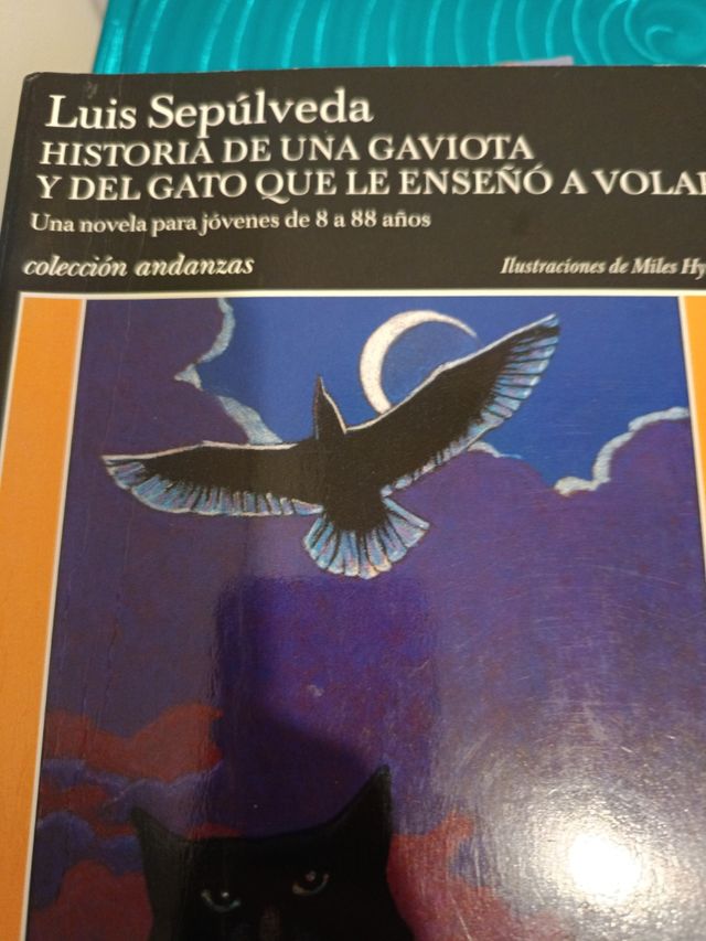 Historia de una gaviota y del gato que le enseno a volar (Coleccion Andanzas) (Spanish Edition)