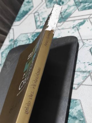 Libro del peregrino,2008 año santo