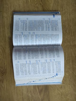 Diccionario de Primaria. Lengua Española 