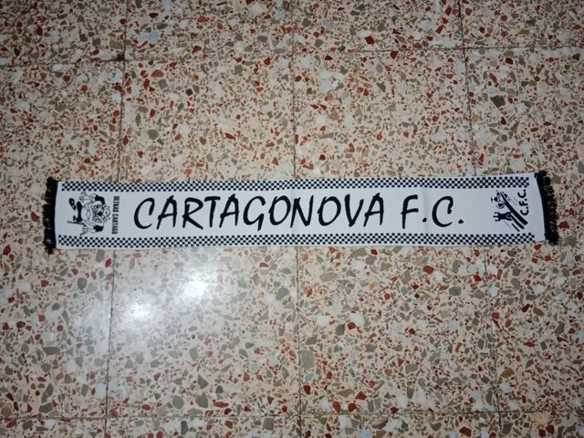 Serigrafiada Ultras Cartago