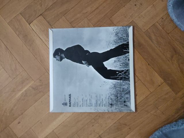 Vinilo Raphael AQUI!