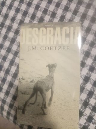 Desgracia (Literatura Mondadori / Mondadori Literature) (Spanish Edition)
