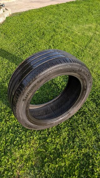 255 50 r19 Michelin RUEDAS