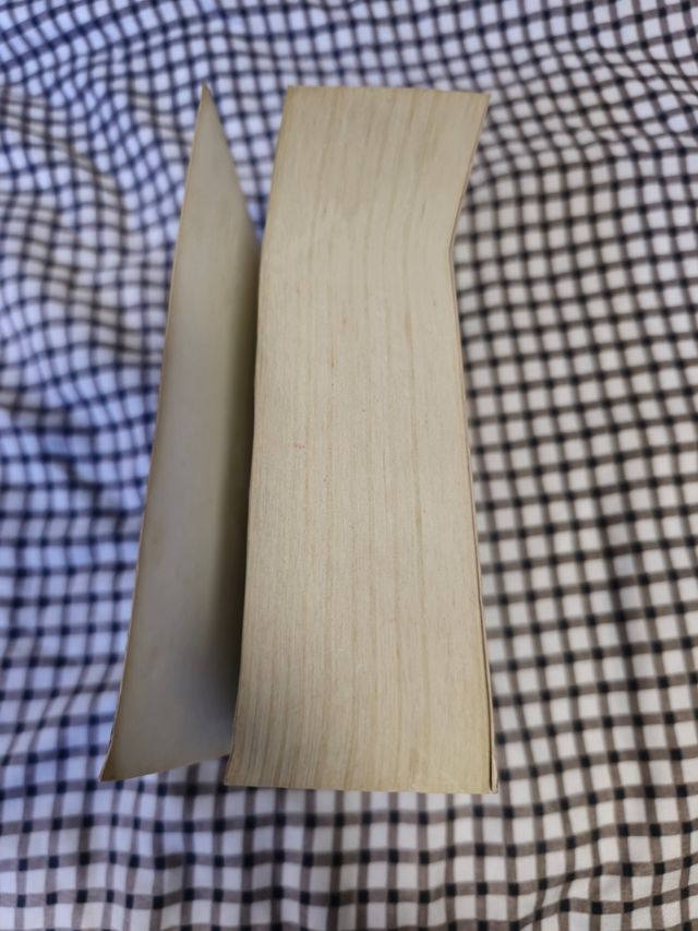 El temor de un hombre sabio / The Wise Man's Fear (Crónica del asesino de reyes) (Spanish Edition)