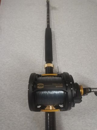 Caña carrete brumeo atun pesca currican