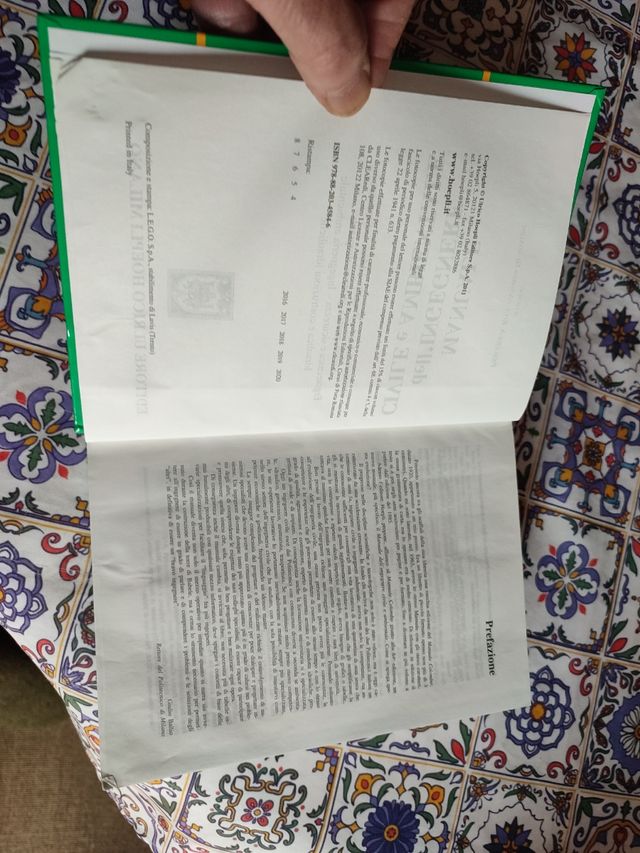 Manuale dell'ingegnere civile e ambientale