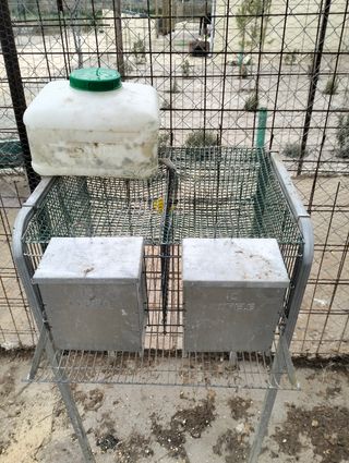 Jaula de codornices como nueva