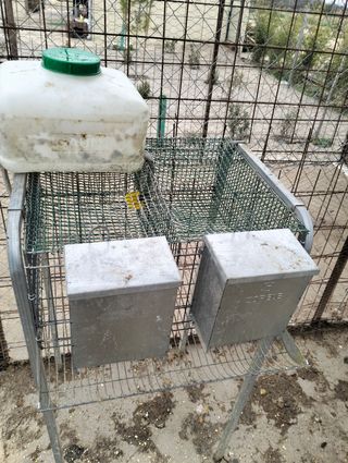 Jaula de codornices como nueva