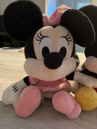 Topolino e Minnie 