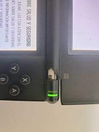 Nintendo Ds + More Braun Training