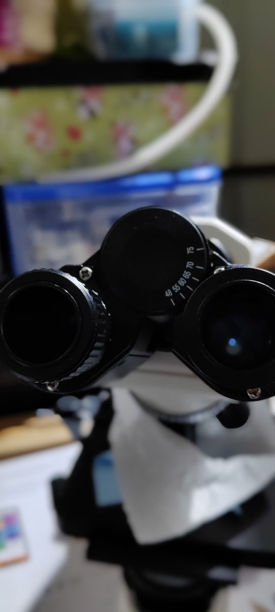 Microscopio binoculare Primolab 4G, 4 obiettivi,