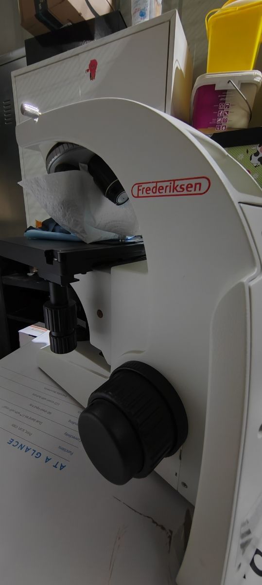 Microscopio binoculare Primolab 4G, 4 obiettivi,