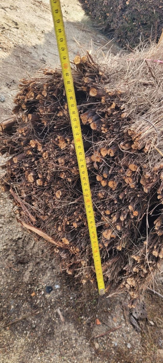 Brezo Natural Rollo 0.5 x 3 metros Origen España