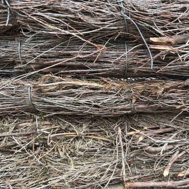 Brezo Natural 1 x 3 m Origen España ¡Calidad!