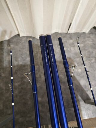CAÑAS DAIWA SKY CASTER 30-425 de segunda mano por 1 EUR en