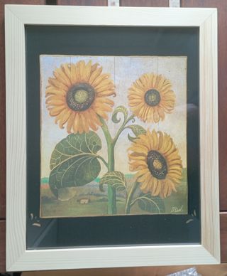 Coppia stampe Girasoli in cornice 20x25