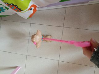 Perrito chino chii love