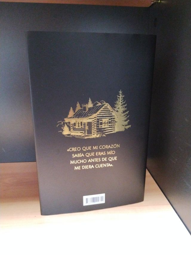 Una corte de hielo y estrellas. Edición especial: Una corte de rosas y espinas 4. Edición especial con cantos tintados