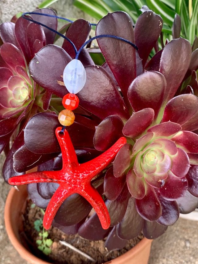 Collar estrella de mar