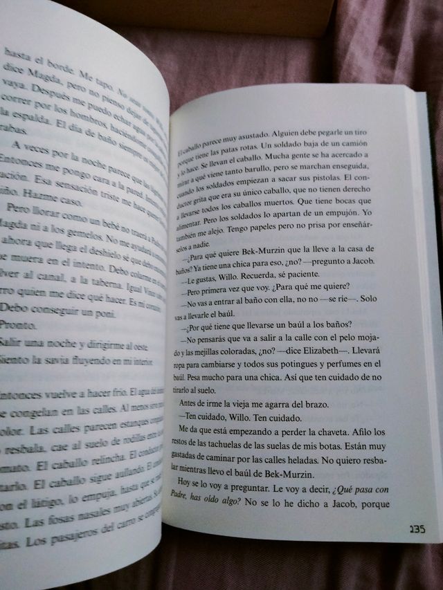 Libro "Despues de la nieve"