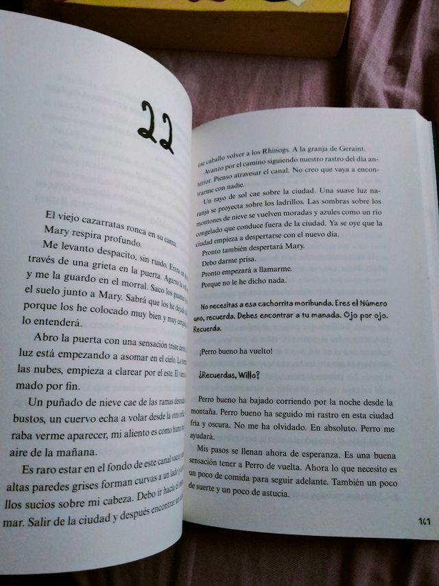 Libro "Despues de la nieve"
