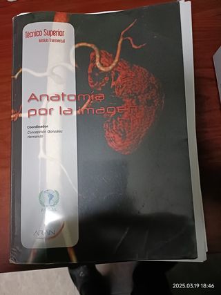 Anatomía por la imagen (Spanish Edition)