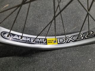Rueda trasera monty trial 19"