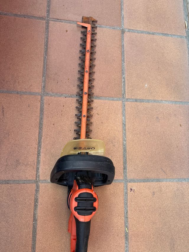 Cortadora jardín + corta bordes 70€