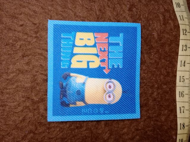 Parches termoadhesivos 10 unidades