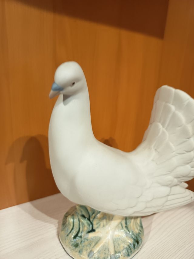 Paloma Porcelana
