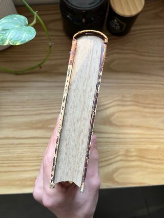 Biografia de Alfred de Musset 1879