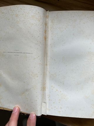 Biografia de Alfred de Musset 1879